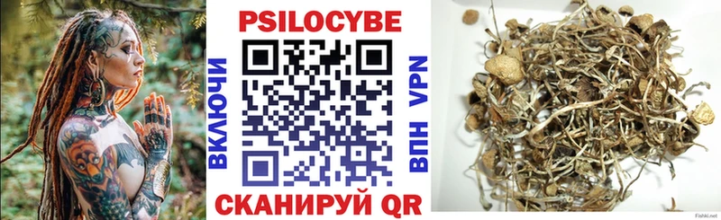 Псилоцибиновые грибы прущие грибы  Купить  Нальчик 